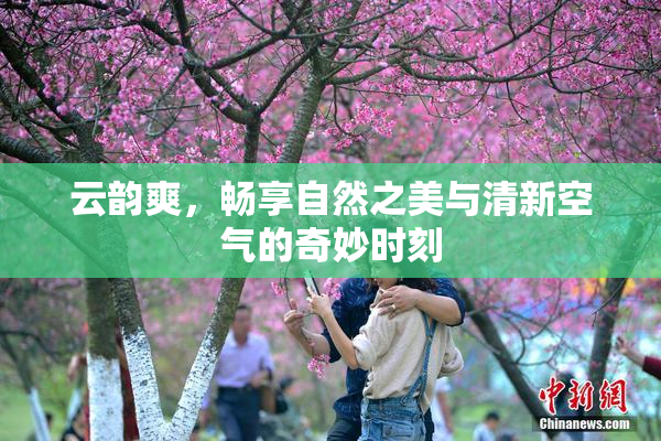 云韵爽，畅享自然之美与清新空气的奇妙时刻