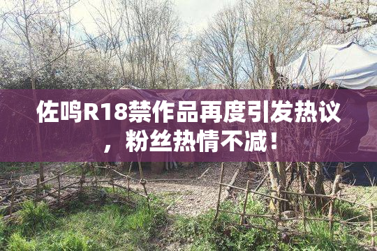 佐鸣R18禁作品再度引发热议，粉丝热情不减！