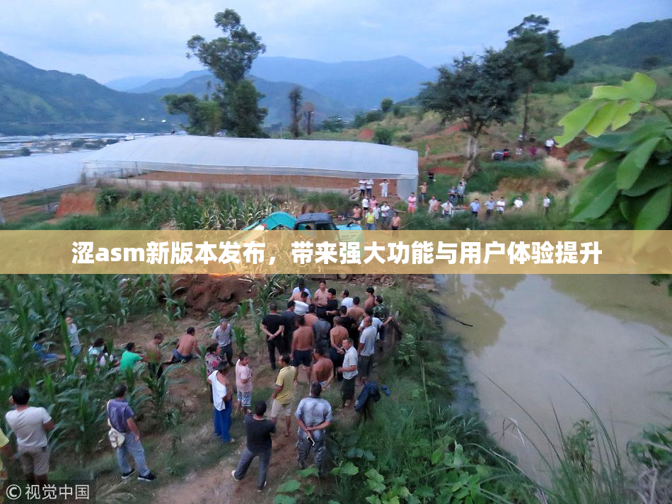 涩asm新版本发布，带来强大功能与用户体验提升
