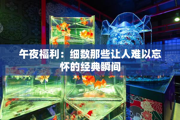 午夜福利：细数那些让人难以忘怀的经典瞬间