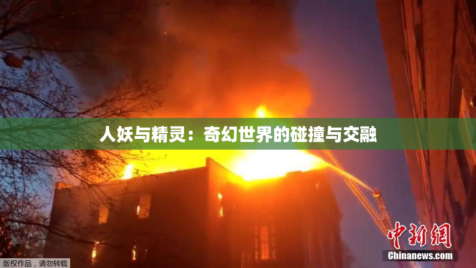 人妖与精灵：奇幻世界的碰撞与交融