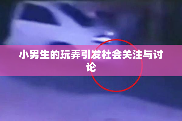 小男生的玩弄引发社会关注与讨论