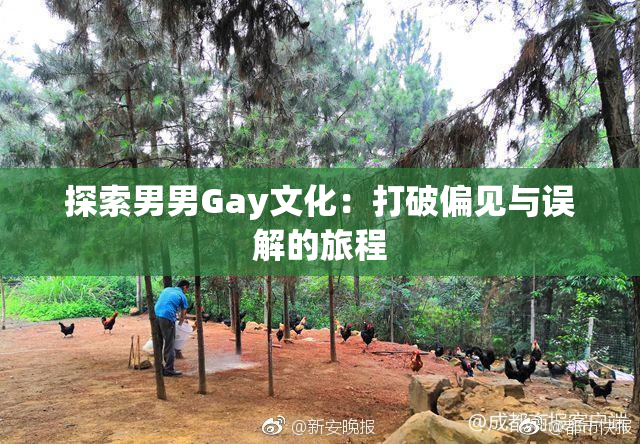 探索男男Gay文化：打破偏见与误解的旅程