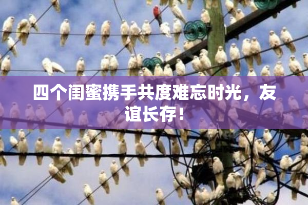四个闺蜜携手共度难忘时光，友谊长存！