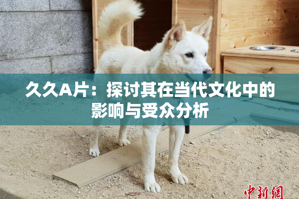 久久A片：探讨其在当代文化中的影响与受众分析