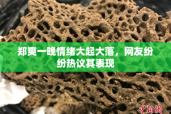 郑爽一晚情绪大起大落，网友纷纷热议其表现