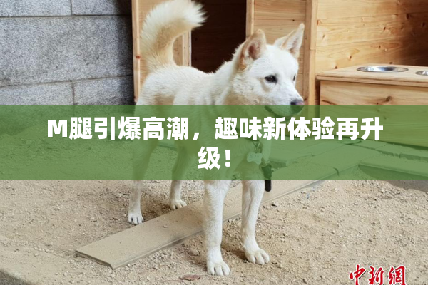 M腿引爆高潮，趣味新体验再升级！