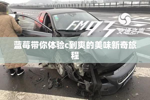 蓝莓带你体验c到爽的美味新奇旅程