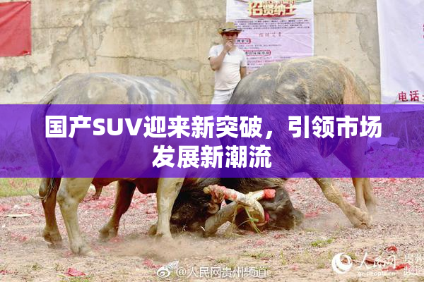 国产SUV迎来新突破，引领市场发展新潮流