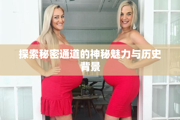 探索秘密通道的神秘魅力与历史背景