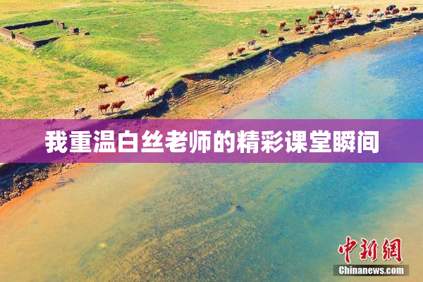 我重温白丝老师的精彩课堂瞬间