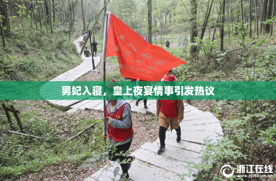 男妃入寝，皇上夜宴情事引发热议