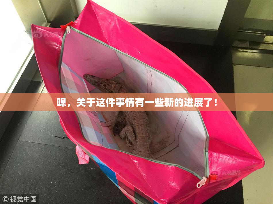 嗯，关于这件事情有一些新的进展了！