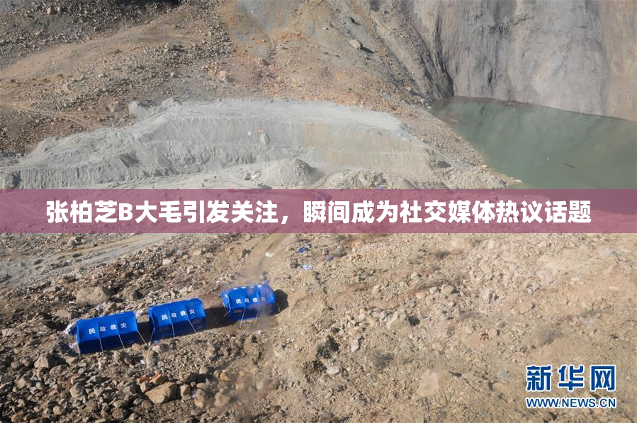张柏芝B大毛引发关注，瞬间成为社交媒体热议话题