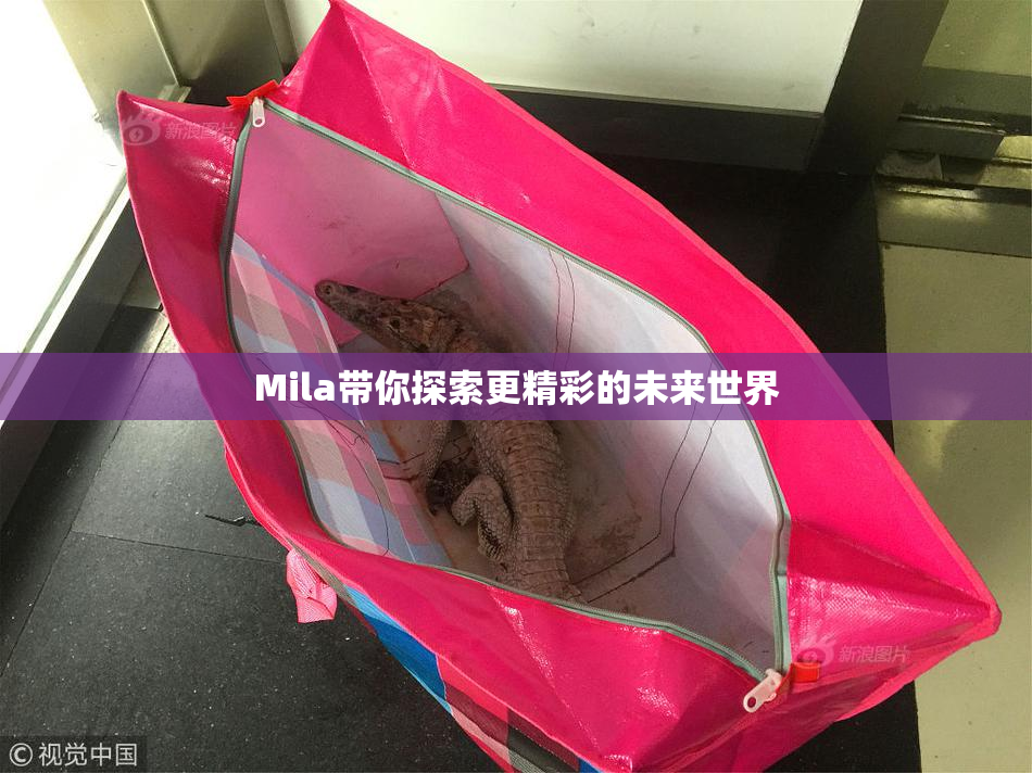 Mila带你探索更精彩的未来世界