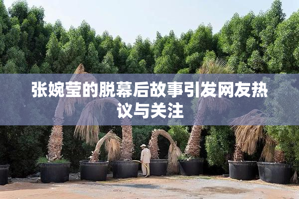 张婉莹的脱幕后故事引发网友热议与关注