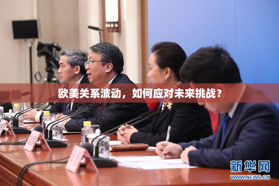 欧美关系波动，如何应对未来挑战？