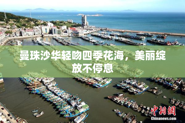 曼珠沙华轻吻四季花海，美丽绽放不停息