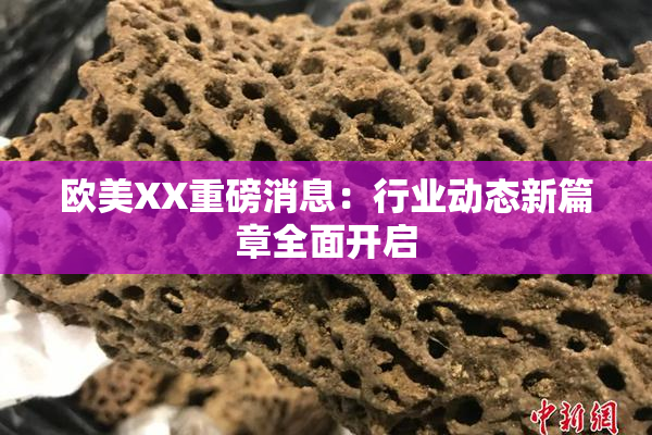 欧美XX重磅消息：行业动态新篇章全面开启