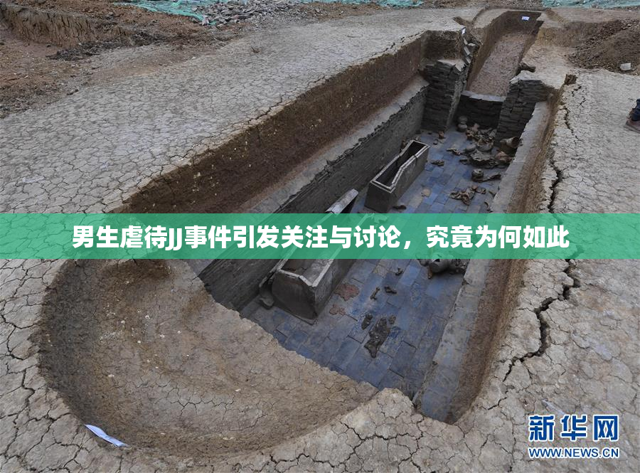 男生虐待JJ事件引发关注与讨论，究竟为何如此