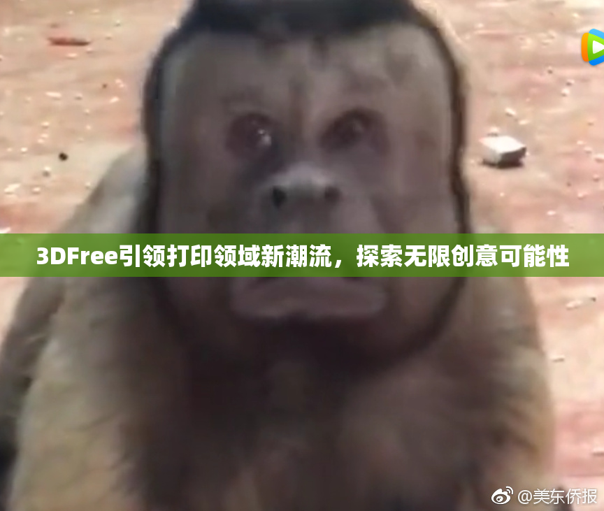 3DFree引领打印领域新潮流，探索无限创意可能性