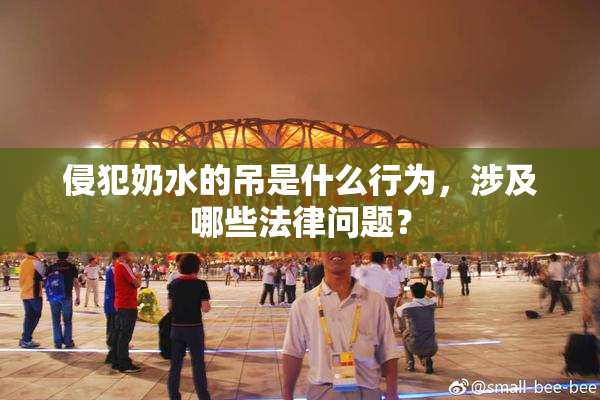 侵犯奶水的吊是什么行为，涉及哪些法律问题？