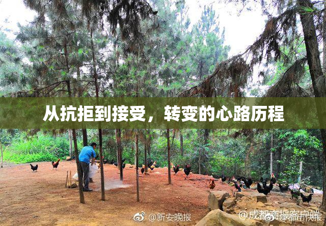 从抗拒到接受，转变的心路历程