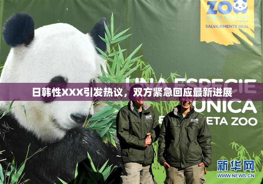 日韩性XXX引发热议，双方紧急回应最新进展