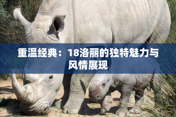 重温经典：18洛丽的独特魅力与风情展现