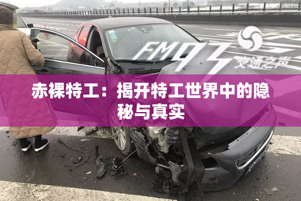 赤裸特工：揭开特工世界中的隐秘与真实