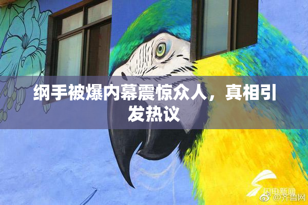 纲手被爆内幕震惊众人，真相引发热议