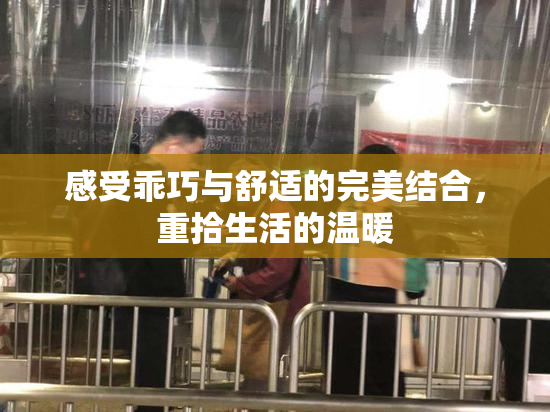 感受乖巧与舒适的完美结合，重拾生活的温暖