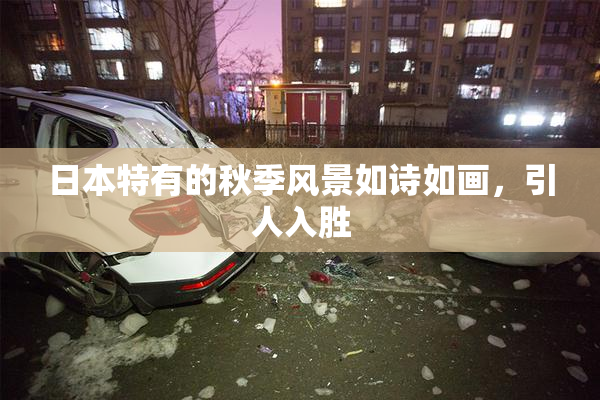 日本特有的秋季风景如诗如画，引人入胜