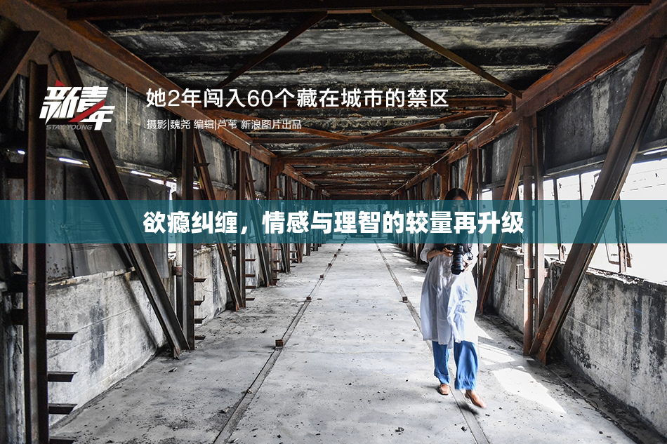 欲瘾纠缠，情感与理智的较量再升级