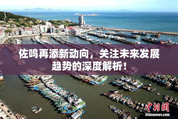 佐鸣再添新动向，关注未来发展趋势的深度解析！