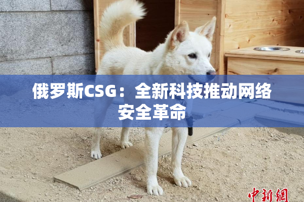俄罗斯CSG：全新科技推动网络安全革命