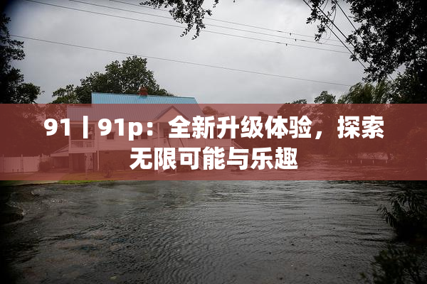 91丨91p：全新升级体验，探索无限可能与乐趣