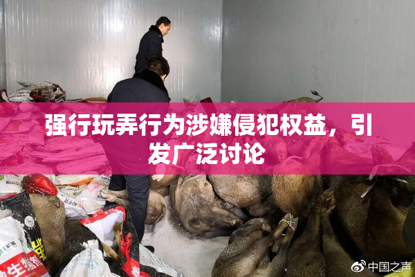 强行玩弄行为涉嫌侵犯权益，引发广泛讨论