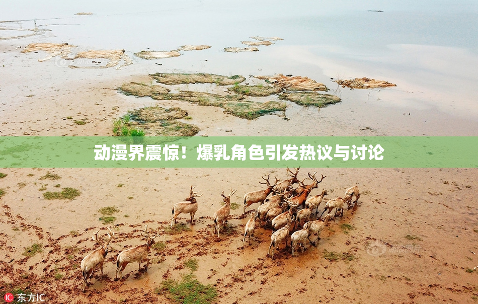 动漫界震惊！爆乳角色引发热议与讨论