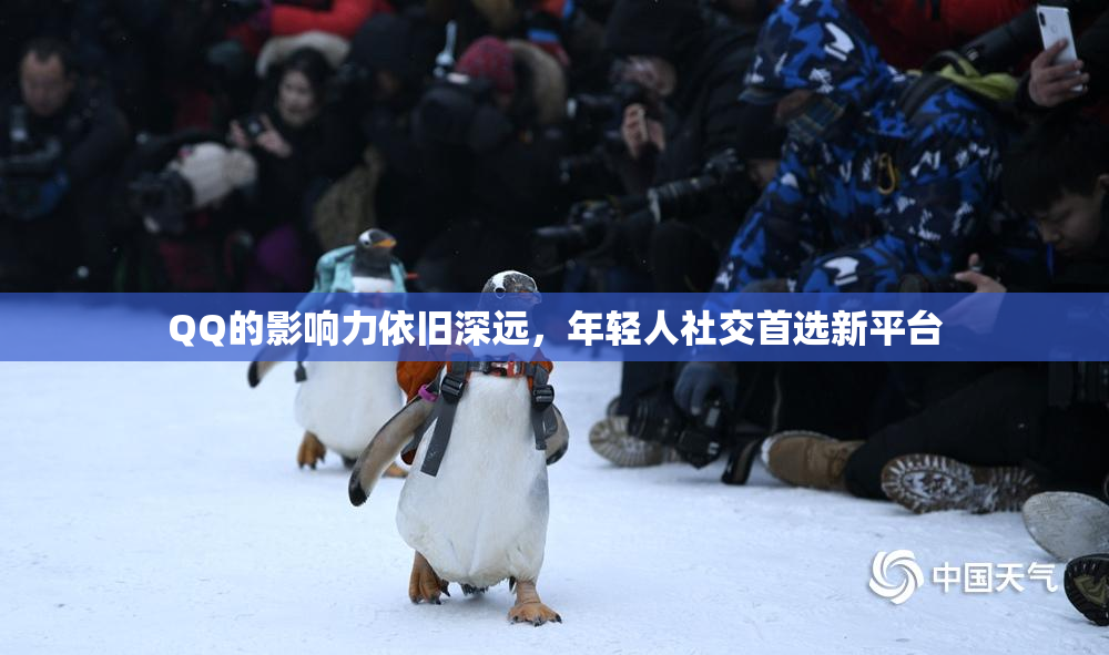 QQ的影响力依旧深远，年轻人社交首选新平台