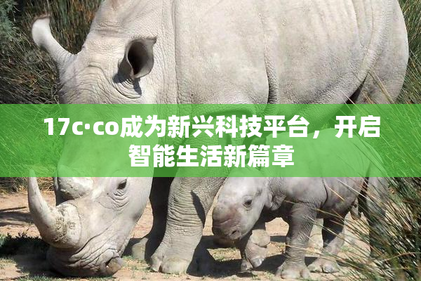 17c·co成为新兴科技平台，开启智能生活新篇章