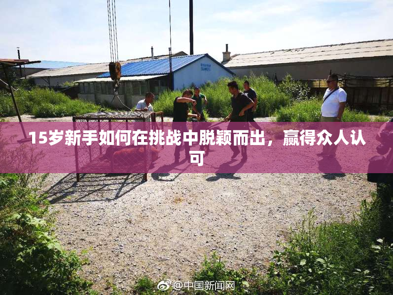 15岁新手如何在挑战中脱颖而出，赢得众人认可