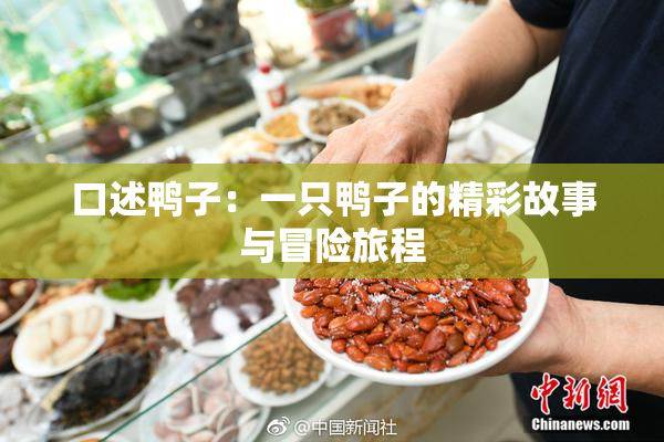 口述鸭子：一只鸭子的精彩故事与冒险旅程