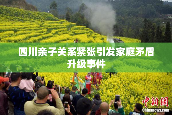 四川亲子关系紧张引发家庭矛盾升级事件
