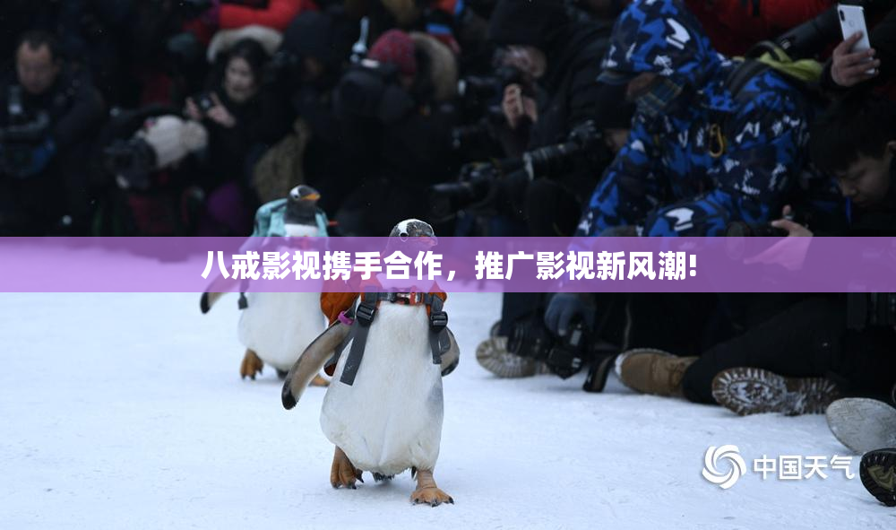 八戒影视携手合作，推广影视新风潮!