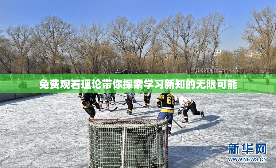免费观看理论带你探索学习新知的无限可能