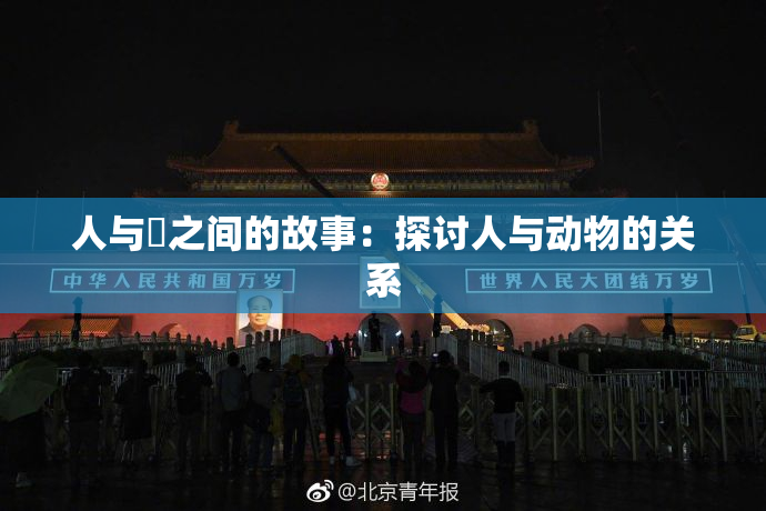 人与嘼之间的故事：探讨人与动物的关系