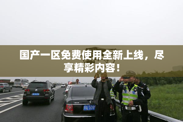 国产一区免费使用全新上线，尽享精彩内容！