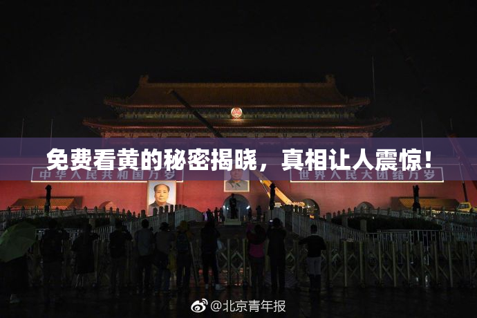 免费看黄的秘密揭晓，真相让人震惊！
