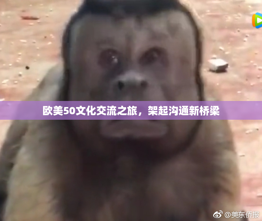 欧美50文化交流之旅，架起沟通新桥梁